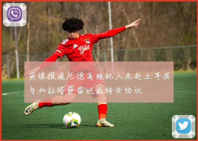 英媒报道厄德高经纪人未赴土耳其与加拉塔萨雷达成转会协议